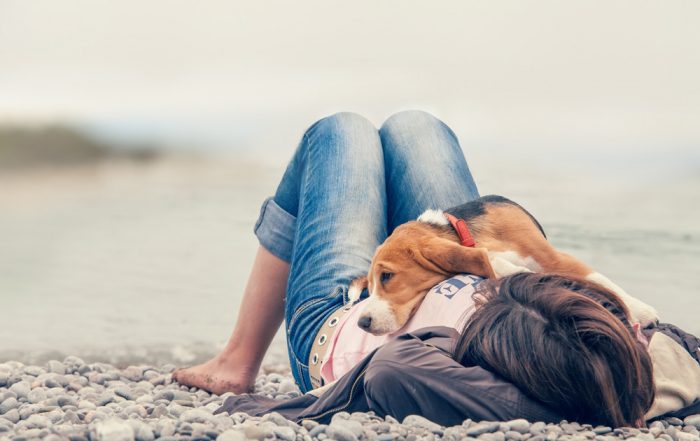 Hund som ligger på mattes mage vid en stenig strand.