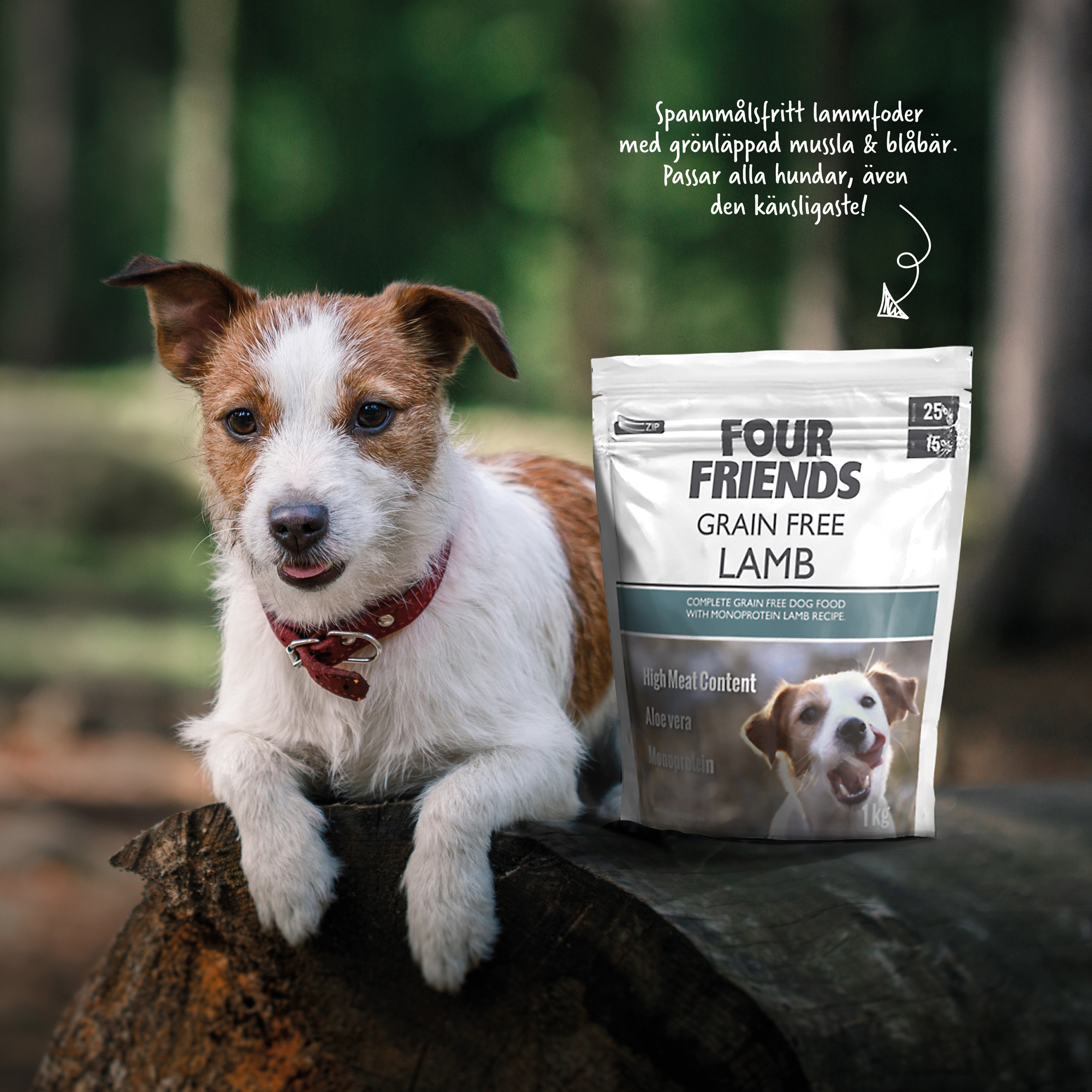 Söt brun vit hund som ligger bredvid påse med Fourfriends torrfoder