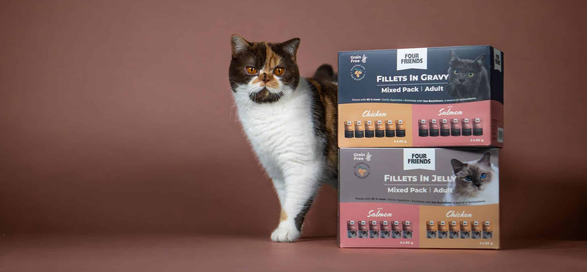 Trefärgad katt av rasen brittisk korthår bredvid två kartonger kattmat staplade på varandra