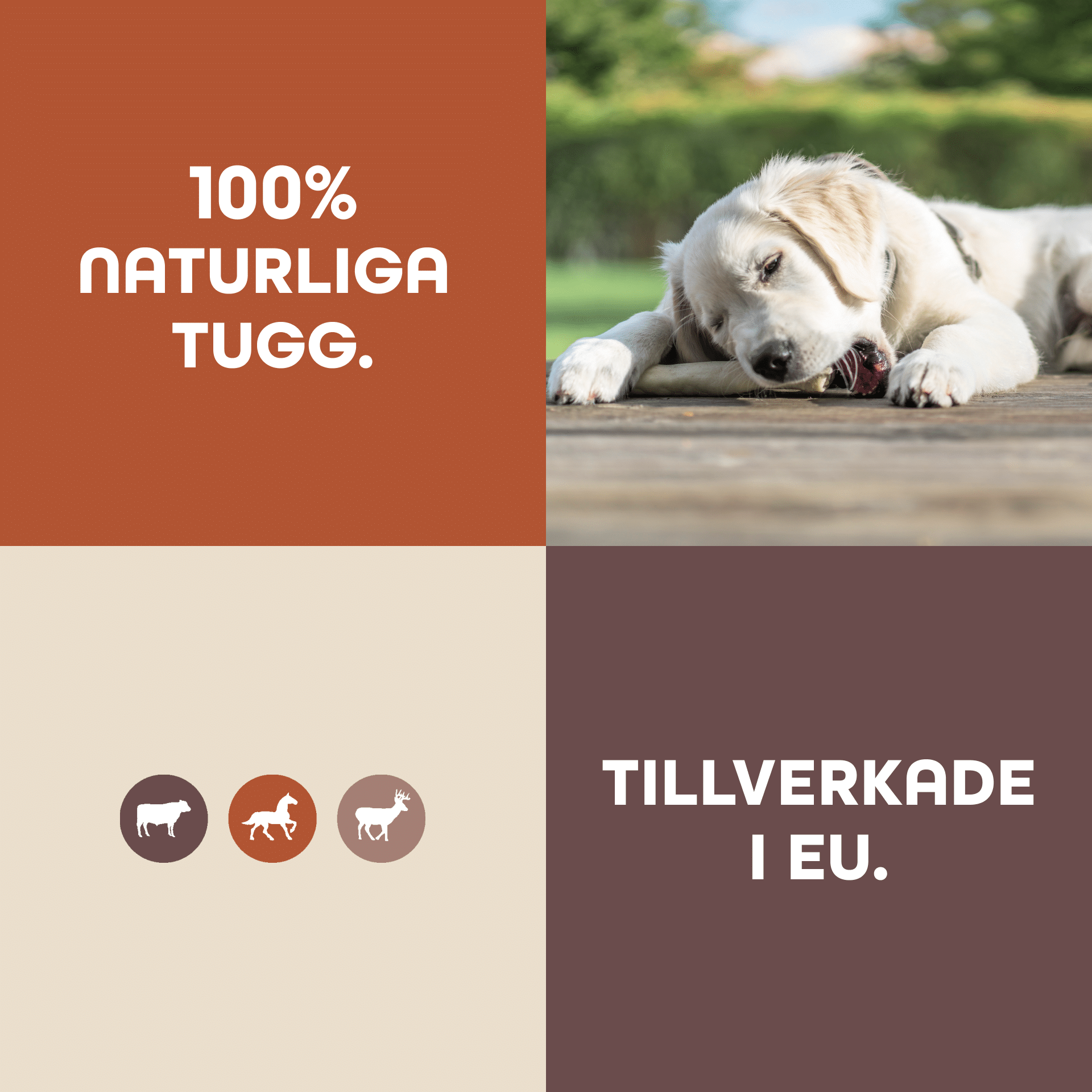 FourFriends_Natural_Chews_web